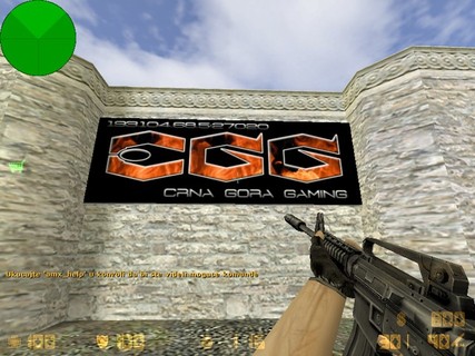 aim_cgg_india