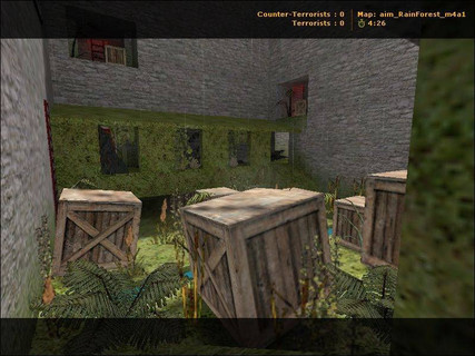 aim_rainforest_m4a1