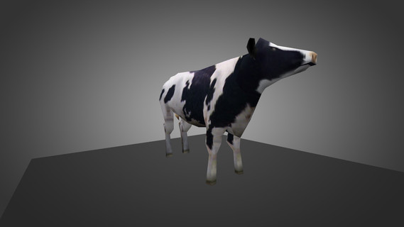 Cow