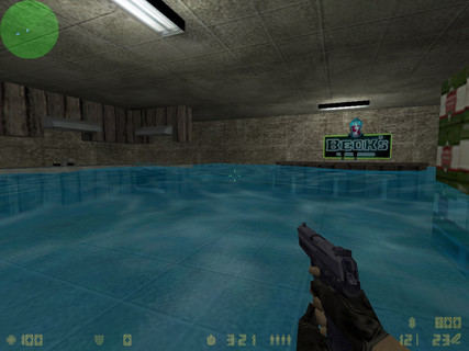 cs_militia_flood