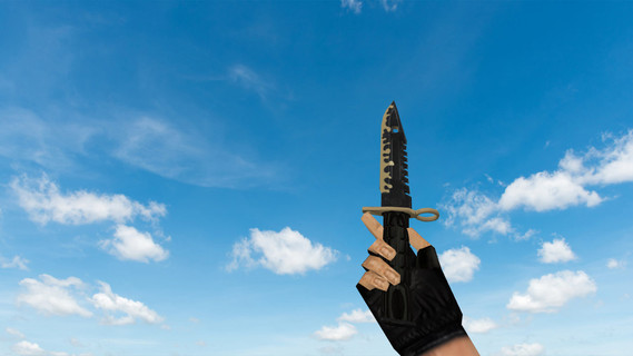 M9 Bayonet Combat