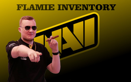 Инвентарь Navi Flamie