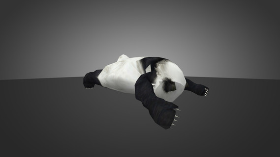 Sleeping Baby Panda